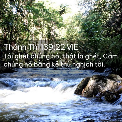 Picture 02 - Thánh Thi 139:22 VIE - Tôi ghét chúng nó, thật là ghét, Cầm - Bible Verse Picture