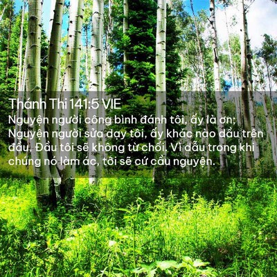 Picture 02 - Thánh Thi 141:5 VIE - Nguyện người công bình đánh tôi, ấy - Bible Verse Picture