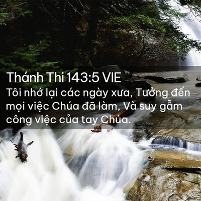 Picture 02 - Thánh Thi 143:5 VIE - Tôi nhớ lại các ngày xưa, Tưởng đến - Bible Verse Picture