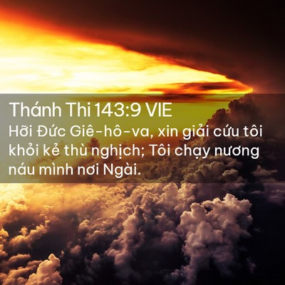 Picture 02 - Thánh Thi 143:9 VIE - Hỡi Đức Giê-hô-va, xin giải cứu tôi - Bible Verse Picture