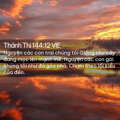 Picture 02 - Thánh Thi 144:12 VIE - Nguyện các con trai chúng tôi Giống như - Bible Verse Picture