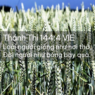 Picture 02 - Thánh Thi 144:4 VIE - Loài người giống như hơi thở, Đời - Bible Verse Picture