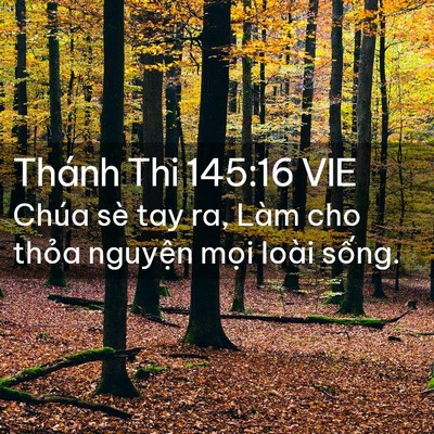 Picture 02 - Thánh Thi 145:16 VIE - Chúa sè tay ra, Làm cho thỏa nguyện mọi - Bible Verse Picture