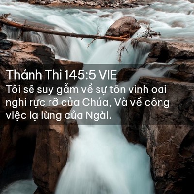 Picture 02 - Thánh Thi 145:5 VIE - Tôi sẽ suy gẫm về sự tôn vinh oai nghi - Bible Verse Picture