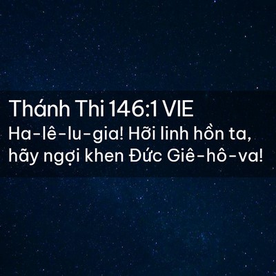 Picture 02 - Thánh Thi 146:1 VIE - Ha-lê-lu-gia! Hỡi linh hồn ta, hãy ngợi - Bible Verse Picture