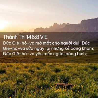 Picture 02 - Thánh Thi 146:8 VIE - Đức Giê-hô-va mở mắt cho người đui; - Bible Verse Picture