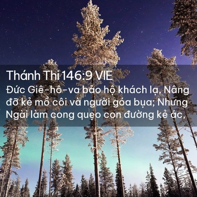 Picture 02 - Thánh Thi 146:9 VIE - Đức Giê-hô-va bảo hộ khách lạ, Nâng - Bible Verse Picture