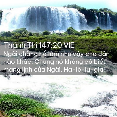 Picture 02 - Thánh Thi 147:20 VIE - Ngài chẳng hề làm như vậy cho dân nào - Bible Verse Picture