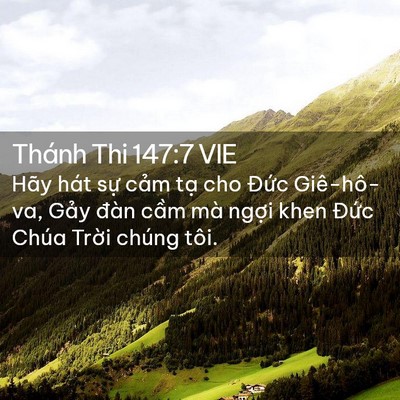 Picture 02 - Thánh Thi 147:7 VIE - Hãy hát sự cảm tạ cho Đức Giê-hô-va, - Bible Verse Picture