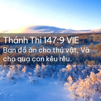 Picture 02 - Thánh Thi 147:9 VIE - Ban đồ ăn cho thú vật, Và cho quạ con - Bible Verse Picture