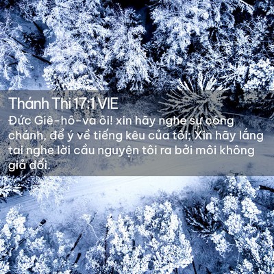 Picture 02 - Thánh Thi 17:1 VIE - Đức Giê-hô-va ôi! xin hãy nghe sự công - Bible Verse Picture