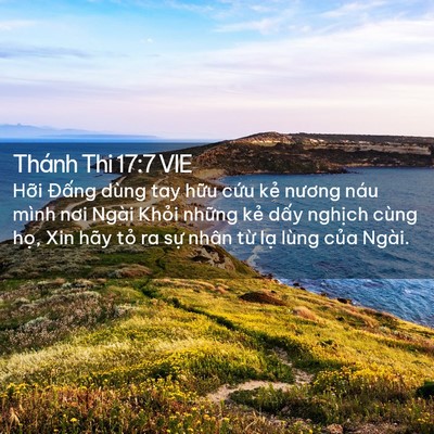 Picture 02 - Thánh Thi 17:7 VIE - Hỡi Đấng dùng tay hữu cứu kẻ nương - Bible Verse Picture