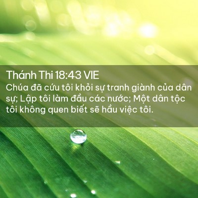 Picture 02 - Thánh Thi 18:43 VIE - Chúa đã cứu tôi khỏi sự tranh giành - Bible Verse Picture