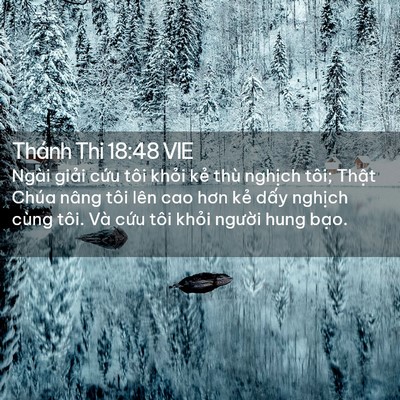 Picture 02 - Thánh Thi 18:48 VIE - Ngài giải cứu tôi khỏi kẻ thù nghịch - Bible Verse Picture