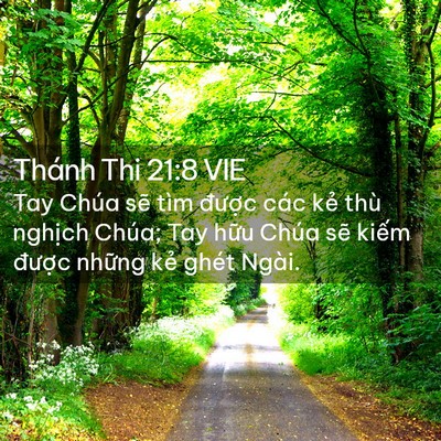 Picture 02 - Thánh Thi 21:8 VIE - Tay Chúa sẽ tìm được các kẻ thù - Bible Verse Picture