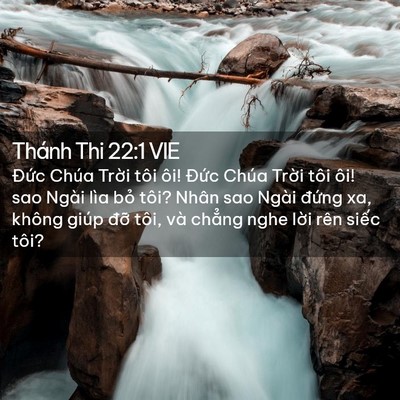 Picture 02 - Thánh Thi 22:1 VIE - Đức Chúa Trời tôi ôi! Đức Chúa Trời - Bible Verse Picture