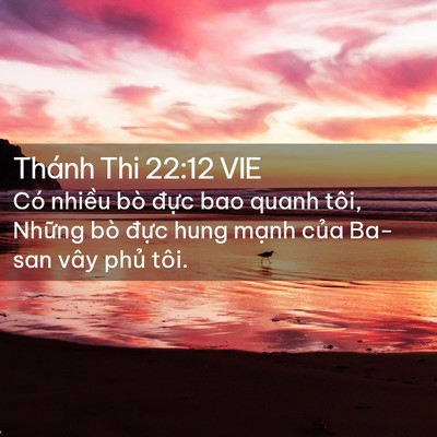 Picture 02 - Thánh Thi 22:12 VIE - Có nhiều bò đực bao quanh tôi, Những - Bible Verse Picture
