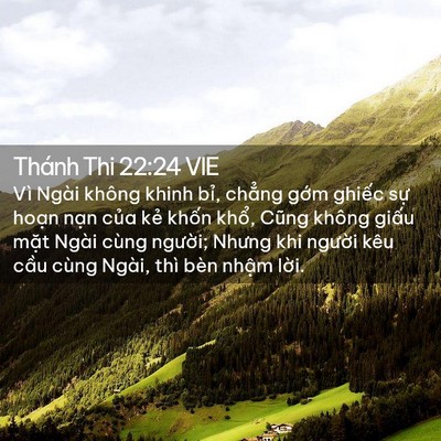 Picture 02 - Thánh Thi 22:24 VIE - Vì Ngài không khinh bỉ, chẳng gớm - Bible Verse Picture