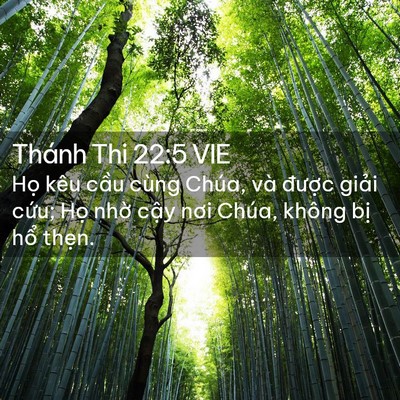 Picture 02 - Thánh Thi 22:5 VIE - Họ kêu cầu cùng Chúa, và được giải - Bible Verse Picture