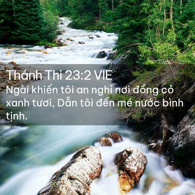 Picture 02 - Thánh Thi 23:2 VIE - Ngài khiến tôi an nghỉ nơi đồng cỏ - Bible Verse Picture