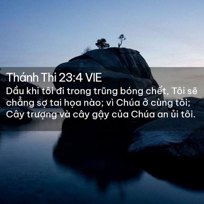 Picture 02 - Thánh Thi 23:4 VIE - Dầu khi tôi đi trong trũng bóng chết, - Bible Verse Picture
