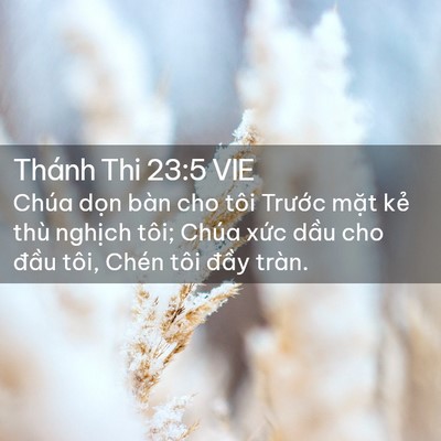 Picture 02 - Thánh Thi 23:5 VIE - Chúa dọn bàn cho tôi Trước mặt kẻ - Bible Verse Picture