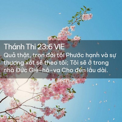 Picture 02 - Thánh Thi 23:6 VIE - Quả thật, trọn đời tôi Phước hạnh - Bible Verse Picture