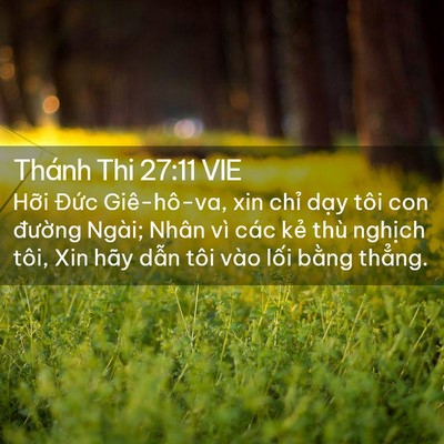 Picture 02 - Thánh Thi 27:11 VIE - Hỡi Đức Giê-hô-va, xin chỉ dạy tôi - Bible Verse Picture