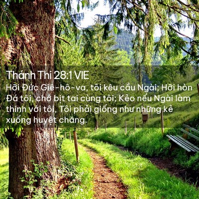 Picture 02 - Thánh Thi 28:1 VIE - Hỡi Đức Giê-hô-va, tôi kêu cầu Ngài; - Bible Verse Picture
