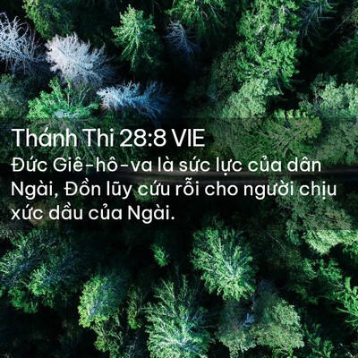 Picture 02 - Thánh Thi 28:8 VIE - Đức Giê-hô-va là sức lực của dân - Bible Verse Picture