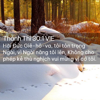 Picture 02 - Thánh Thi 30:1 VIE - Hỡi Đức Giê-hô-va, tôi tôn trọng - Bible Verse Picture