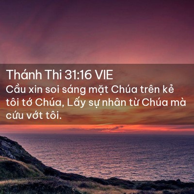 Picture 02 - Thánh Thi 31:16 VIE - Cầu xin soi sáng mặt Chúa trên kẻ tôi - Bible Verse Picture