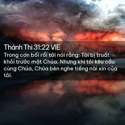 Picture 02 - Thánh Thi 31:22 VIE - Trong cơn bối rối tôi nói rằng: Tôi - Bible Verse Picture