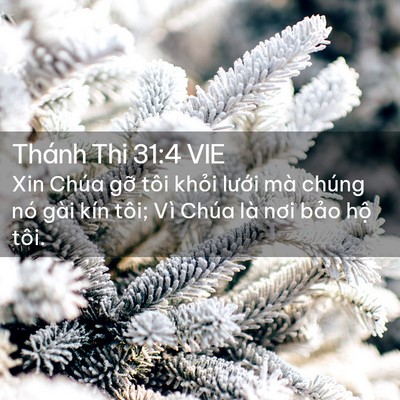 Picture 02 - Thánh Thi 31:4 VIE - Xin Chúa gỡ tôi khỏi lưới mà chúng nó - Bible Verse Picture