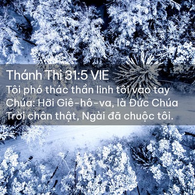 Picture 02 - Thánh Thi 31:5 VIE - Tôi phó thác thần linh tôi vào tay Chúa: - Bible Verse Picture