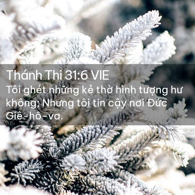Picture 02 - Thánh Thi 31:6 VIE - Tôi ghét những kẻ thờ hình tượng hư - Bible Verse Picture