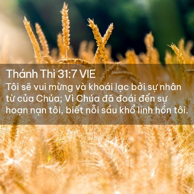 Picture 02 - Thánh Thi 31:7 VIE - Tôi sẽ vui mừng và khoái lạc bởi sự - Bible Verse Picture
