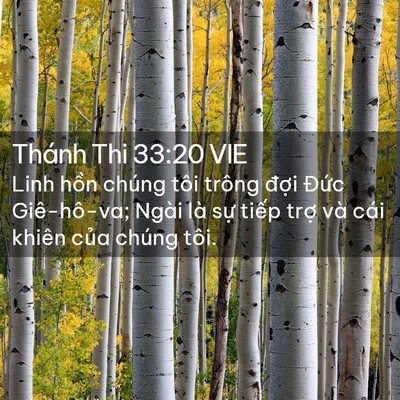 Picture 02 - Thánh Thi 33:20 VIE - Linh hồn chúng tôi trông đợi Đức - Bible Verse Picture