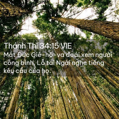 Picture 02 - Thánh Thi 34:15 VIE - Mắt Đức Giê-hô-va đoái xem người - Bible Verse Picture
