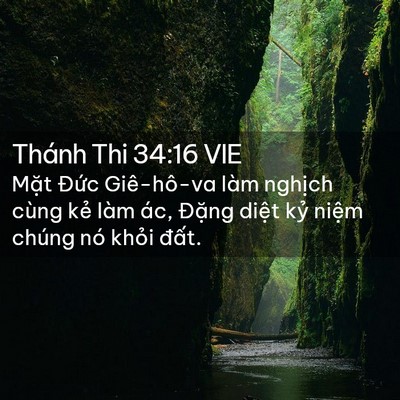Picture 02 - Thánh Thi 34:16 VIE - Mặt Đức Giê-hô-va làm nghịch cùng kẻ - Bible Verse Picture