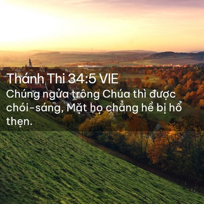Picture 02 - Thánh Thi 34:5 VIE - Chúng ngửa trông Chúa thì được - Bible Verse Picture