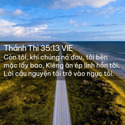 Picture 02 - Thánh Thi 35:13 VIE - Còn tôi, khi chúng nó đau, tôi bèn mặc - Bible Verse Picture