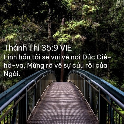 Picture 02 - Thánh Thi 35:9 VIE - Linh hồn tôi sẽ vui vẻ nơi Đức - Bible Verse Picture