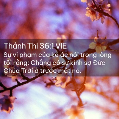 Picture 02 - Thánh Thi 36:1 VIE - Sự vi phạm của kẻ ác nói trong lòng - Bible Verse Picture