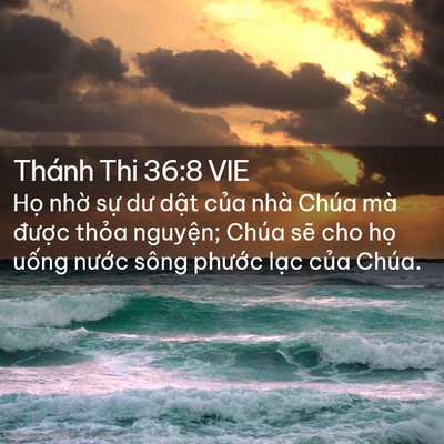 Picture 02 - Thánh Thi 36:8 VIE - Họ nhờ sự dư dật của nhà Chúa mà - Bible Verse Picture
