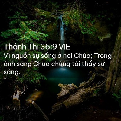 Picture 02 - Thánh Thi 36:9 VIE - Vì nguồn sự sống ở nơi Chúa; Trong - Bible Verse Picture