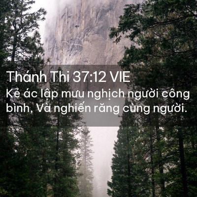 Picture 02 - Thánh Thi 37:12 VIE - Kẻ ác lập mưu nghịch người công - Bible Verse Picture