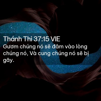 Picture 02 - Thánh Thi 37:15 VIE - Gươm chúng nó sẽ đâm vào lòng chúng - Bible Verse Picture