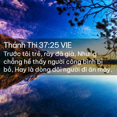 Picture 02 - Thánh Thi 37:25 VIE - Trước tôi trẻ, rày đã già, Nhưng - Bible Verse Picture