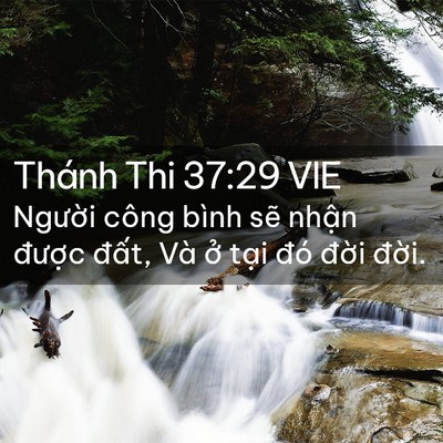 Picture 02 - Thánh Thi 37:29 VIE - Người công bình sẽ nhận được đất, - Bible Verse Picture